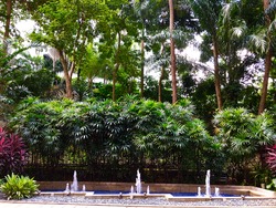 Gardenville (D10), Condominium #183696222